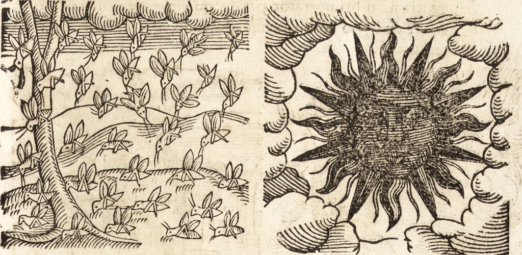 An illustration from Prodigiorvm ac ostentorvm chronicon : quae praeter naturae ordinem, motum, et operationem, et in svperioribus & his inferioribus mundi regionibus, ab exordio mundi usque ad haec nostra tempora, acciderunt ..., 1557, leaf 352
