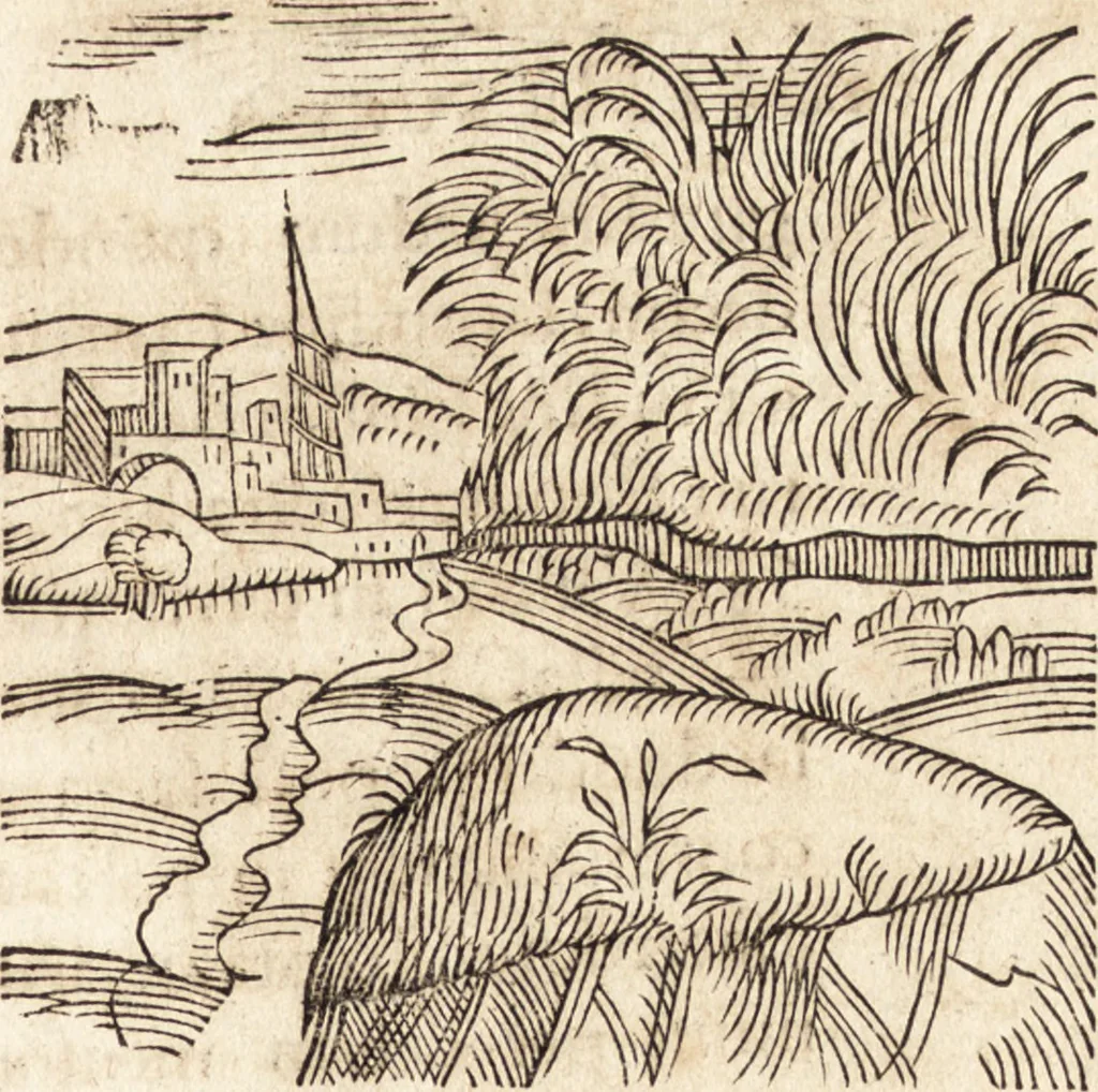 An illustration from Prodigiorvm ac ostentorvm chronicon : quae praeter naturae ordinem, motum, et operationem, et in svperioribus & his inferioribus mundi regionibus, ab exordio mundi usque ad haec nostra tempora, acciderunt ..., 1557, leaf 354