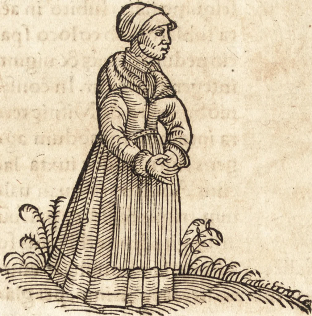 An illustration from Prodigiorvm ac ostentorvm chronicon : quae praeter naturae ordinem, motum, et operationem, et in svperioribus & his inferioribus mundi regionibus, ab exordio mundi usque ad haec nostra tempora, acciderunt ..., 1557, leaf 355