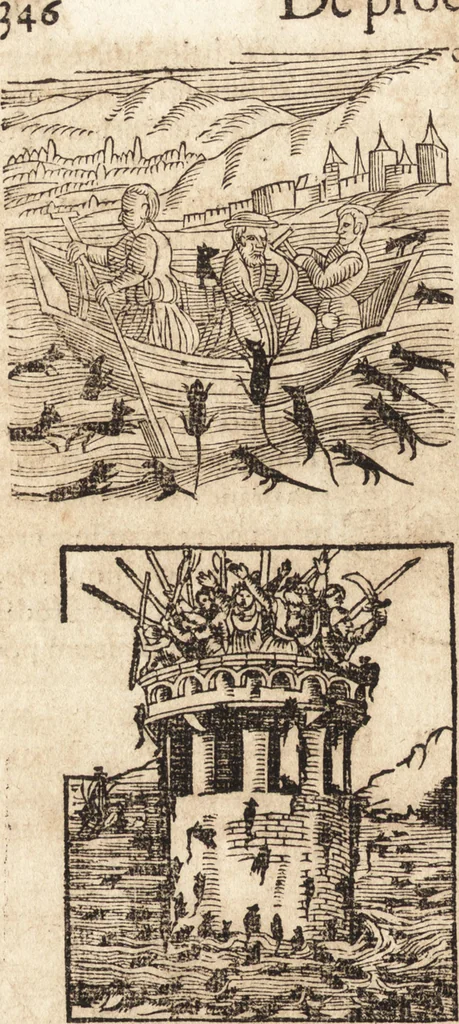 An illustration from Prodigiorvm ac ostentorvm chronicon : quae praeter naturae ordinem, motum, et operationem, et in svperioribus & his inferioribus mundi regionibus, ab exordio mundi usque ad haec nostra tempora, acciderunt ..., 1557, leaf 357