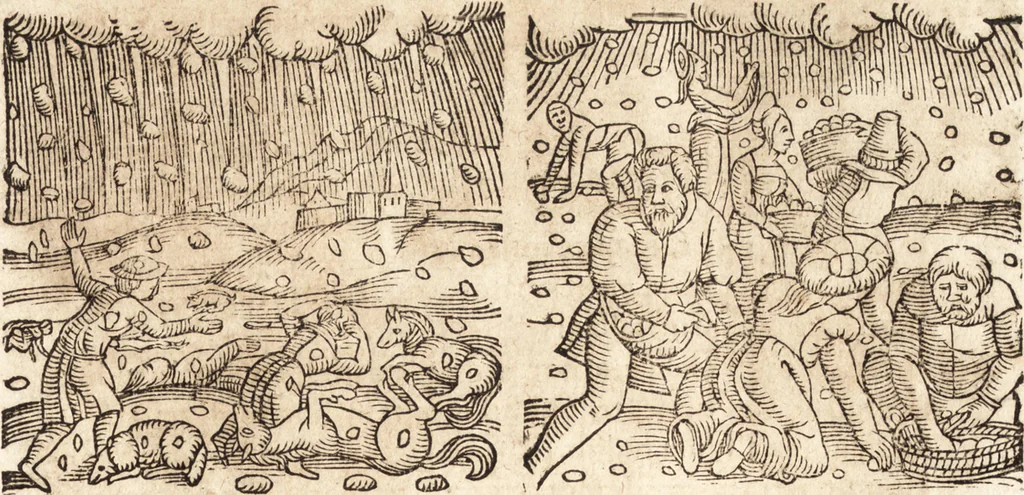 An illustration from Prodigiorvm ac ostentorvm chronicon : quae praeter naturae ordinem, motum, et operationem, et in svperioribus & his inferioribus mundi regionibus, ab exordio mundi usque ad haec nostra tempora, acciderunt ..., 1557, leaf 358