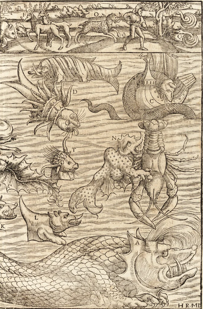 An illustration from Prodigiorvm ac ostentorvm chronicon : quae praeter naturae ordinem, motum, et operationem, et in svperioribus & his inferioribus mundi regionibus, ab exordio mundi usque ad haec nostra tempora, acciderunt ..., 1557, leaf 36