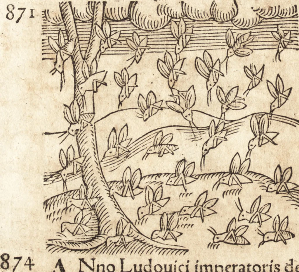 An illustration from Prodigiorvm ac ostentorvm chronicon : quae praeter naturae ordinem, motum, et operationem, et in svperioribus & his inferioribus mundi regionibus, ab exordio mundi usque ad haec nostra tempora, acciderunt ..., 1557, leaf 367