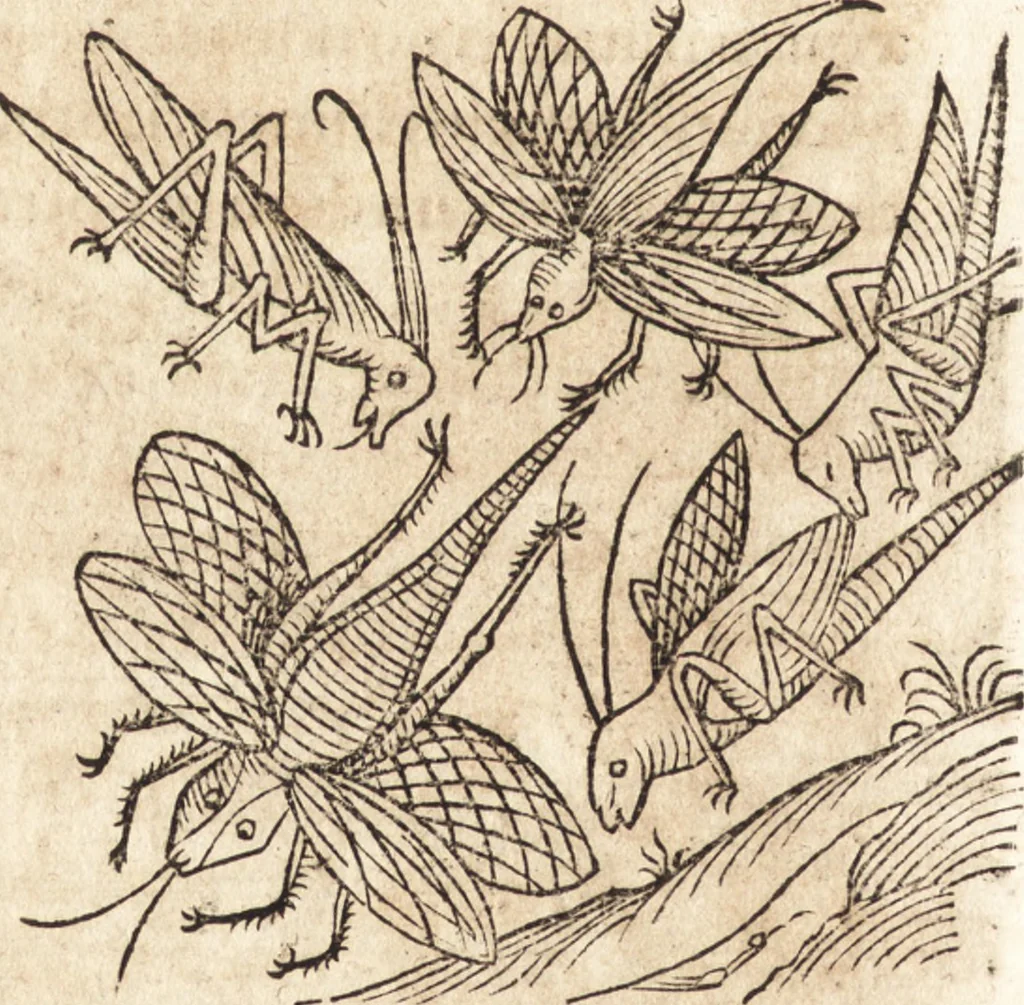 An illustration from Prodigiorvm ac ostentorvm chronicon : quae praeter naturae ordinem, motum, et operationem, et in svperioribus & his inferioribus mundi regionibus, ab exordio mundi usque ad haec nostra tempora, acciderunt ..., 1557, leaf 367