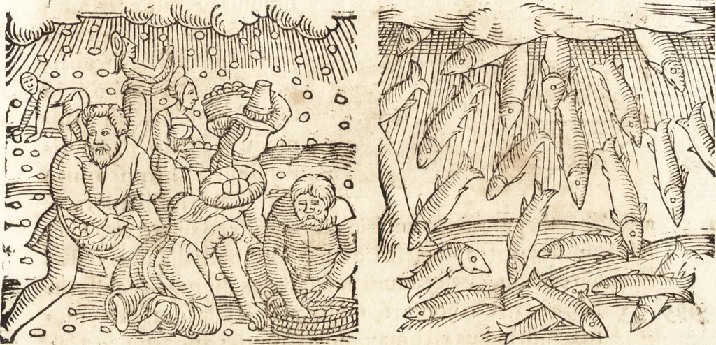 An illustration from Prodigiorvm ac ostentorvm chronicon : quae praeter naturae ordinem, motum, et operationem, et in svperioribus & his inferioribus mundi regionibus, ab exordio mundi usque ad haec nostra tempora, acciderunt ..., 1557, leaf 378