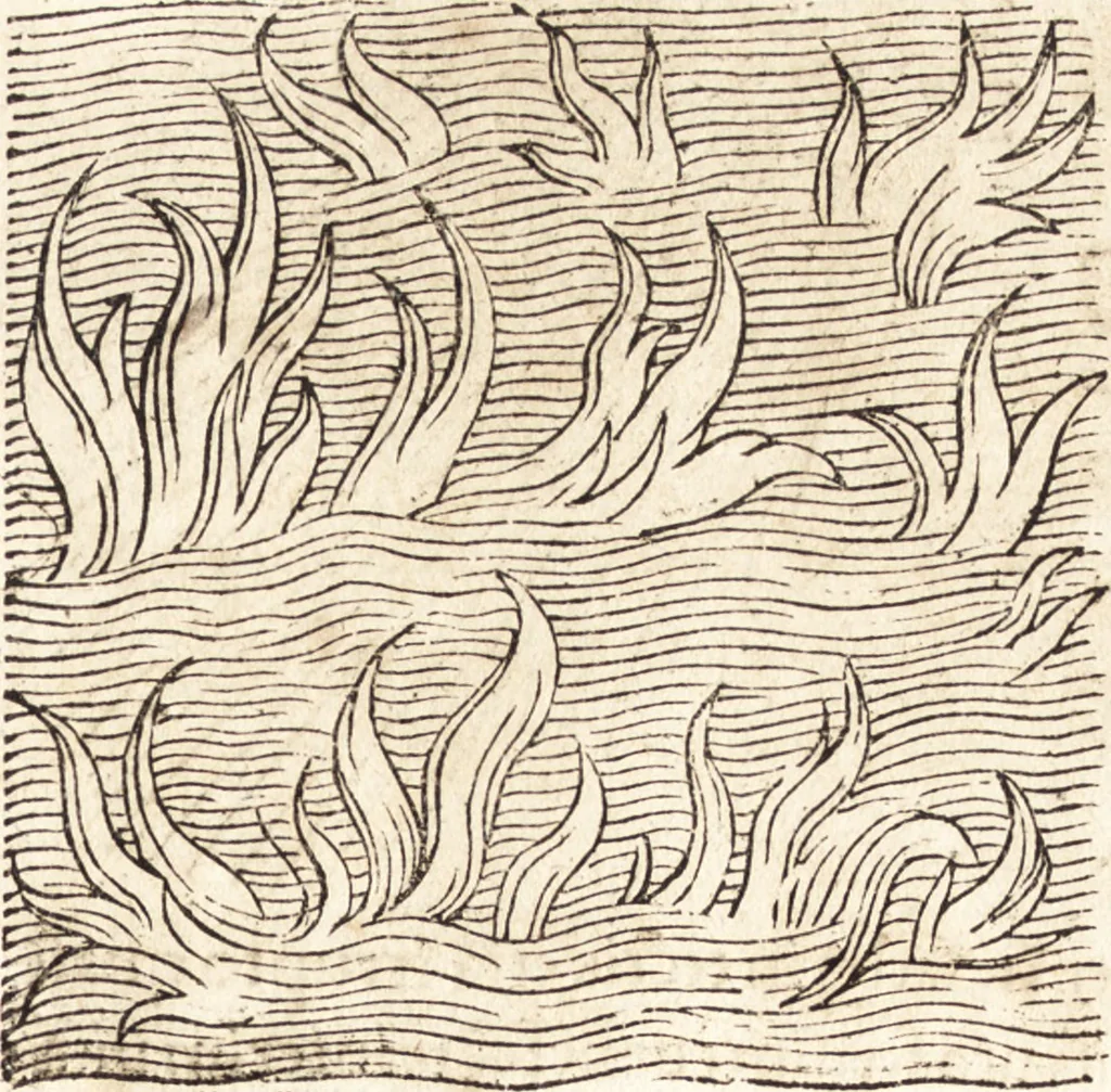 An illustration from Prodigiorvm ac ostentorvm chronicon : quae praeter naturae ordinem, motum, et operationem, et in svperioribus & his inferioribus mundi regionibus, ab exordio mundi usque ad haec nostra tempora, acciderunt ..., 1557, leaf 378