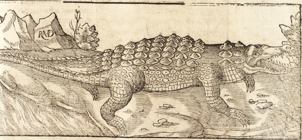 An illustration from Prodigiorvm ac ostentorvm chronicon : quae praeter naturae ordinem, motum, et operationem, et in svperioribus & his inferioribus mundi regionibus, ab exordio mundi usque ad haec nostra tempora, acciderunt ..., 1557, leaf 38