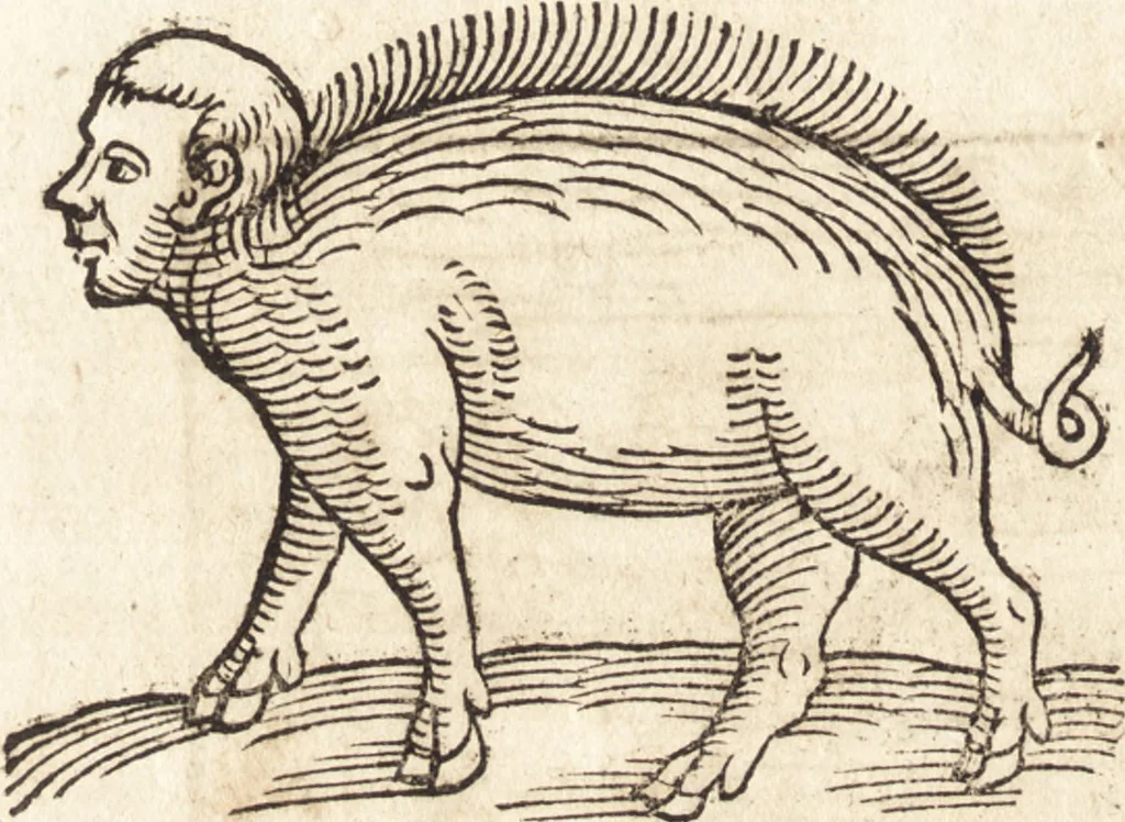 An illustration from Prodigiorvm ac ostentorvm chronicon : quae praeter naturae ordinem, motum, et operationem, et in svperioribus & his inferioribus mundi regionibus, ab exordio mundi usque ad haec nostra tempora, acciderunt ..., 1557, leaf 385
