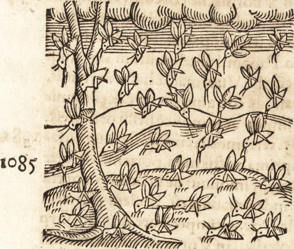 An illustration from Prodigiorvm ac ostentorvm chronicon : quae praeter naturae ordinem, motum, et operationem, et in svperioribus & his inferioribus mundi regionibus, ab exordio mundi usque ad haec nostra tempora, acciderunt ..., 1557, leaf 395