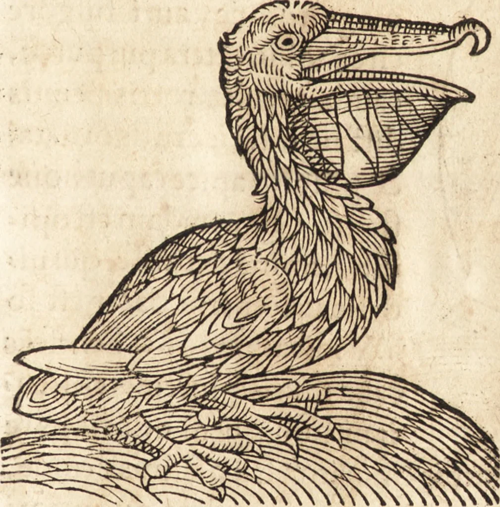 An illustration from Prodigiorvm ac ostentorvm chronicon : quae praeter naturae ordinem, motum, et operationem, et in svperioribus & his inferioribus mundi regionibus, ab exordio mundi usque ad haec nostra tempora, acciderunt ..., 1557, leaf 40