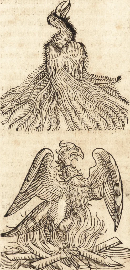An illustration from Prodigiorvm ac ostentorvm chronicon : quae praeter naturae ordinem, motum, et operationem, et in svperioribus & his inferioribus mundi regionibus, ab exordio mundi usque ad haec nostra tempora, acciderunt ..., 1557, leaf 41