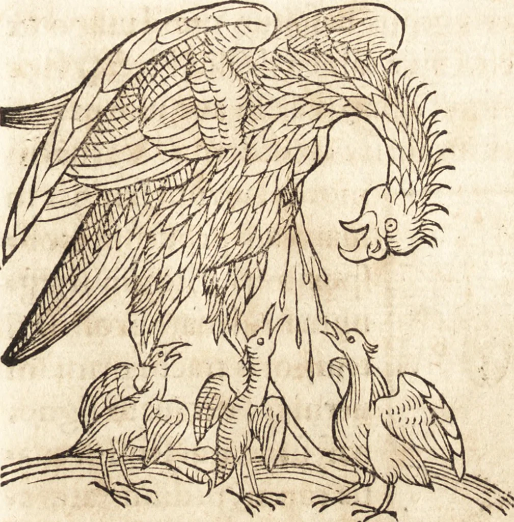 An illustration from Prodigiorvm ac ostentorvm chronicon : quae praeter naturae ordinem, motum, et operationem, et in svperioribus & his inferioribus mundi regionibus, ab exordio mundi usque ad haec nostra tempora, acciderunt ..., 1557, leaf 42