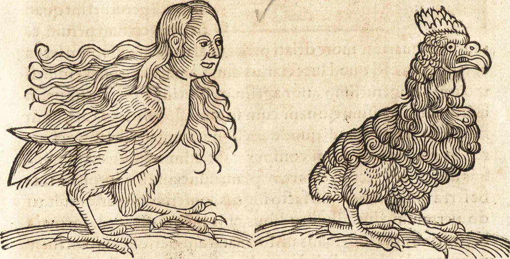 An illustration from Prodigiorvm ac ostentorvm chronicon : quae praeter naturae ordinem, motum, et operationem, et in svperioribus & his inferioribus mundi regionibus, ab exordio mundi usque ad haec nostra tempora, acciderunt ..., 1557, leaf 42