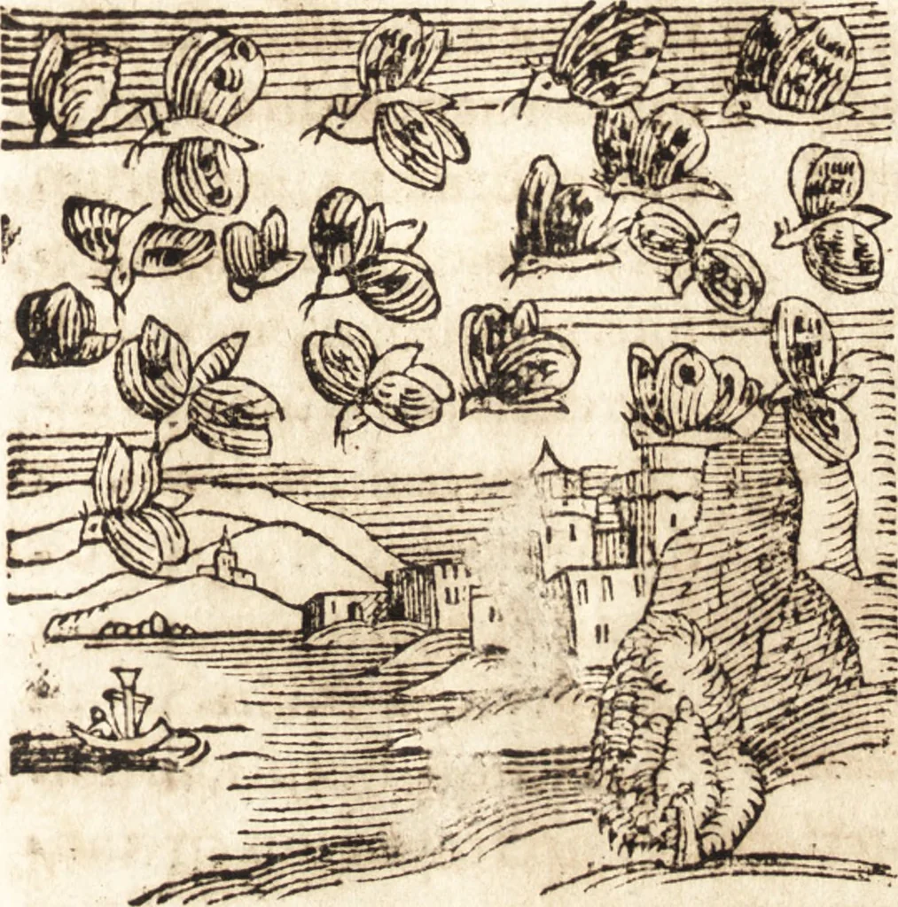 An illustration from Prodigiorvm ac ostentorvm chronicon : quae praeter naturae ordinem, motum, et operationem, et in svperioribus & his inferioribus mundi regionibus, ab exordio mundi usque ad haec nostra tempora, acciderunt ..., 1557, leaf 420