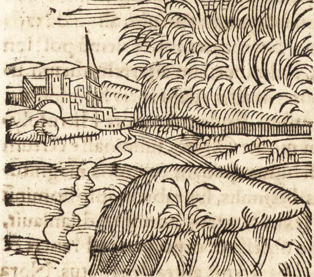 An illustration from Prodigiorvm ac ostentorvm chronicon : quae praeter naturae ordinem, motum, et operationem, et in svperioribus & his inferioribus mundi regionibus, ab exordio mundi usque ad haec nostra tempora, acciderunt ..., 1557, leaf 421