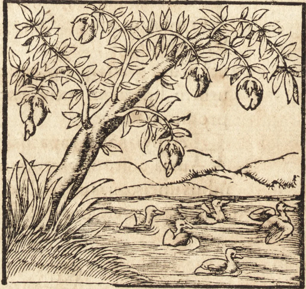 An illustration from Prodigiorvm ac ostentorvm chronicon : quae praeter naturae ordinem, motum, et operationem, et in svperioribus & his inferioribus mundi regionibus, ab exordio mundi usque ad haec nostra tempora, acciderunt ..., 1557, leaf 43