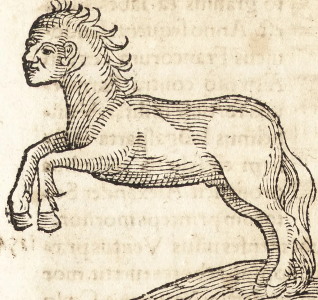An illustration from Prodigiorvm ac ostentorvm chronicon : quae praeter naturae ordinem, motum, et operationem, et in svperioribus & his inferioribus mundi regionibus, ab exordio mundi usque ad haec nostra tempora, acciderunt ..., 1557, leaf 449