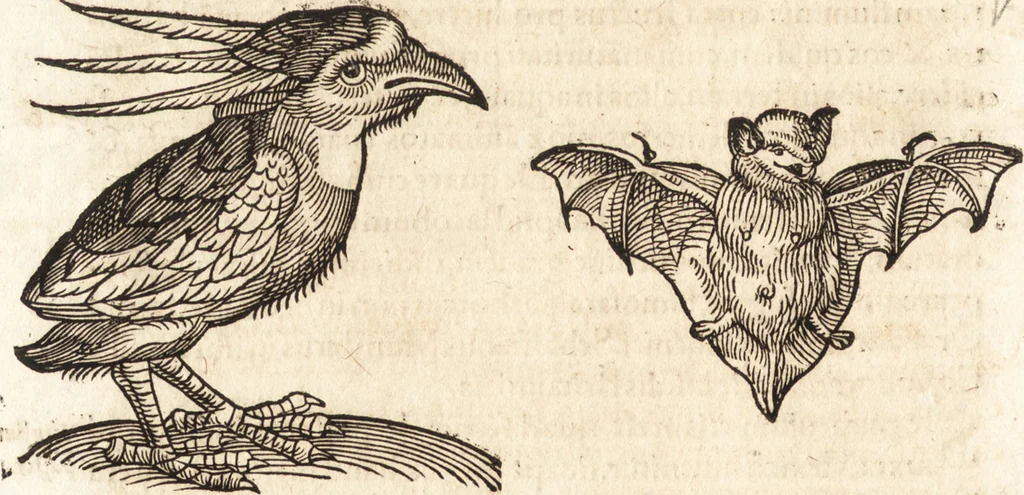 An illustration from Prodigiorvm ac ostentorvm chronicon : quae praeter naturae ordinem, motum, et operationem, et in svperioribus & his inferioribus mundi regionibus, ab exordio mundi usque ad haec nostra tempora, acciderunt ..., 1557, leaf 45
