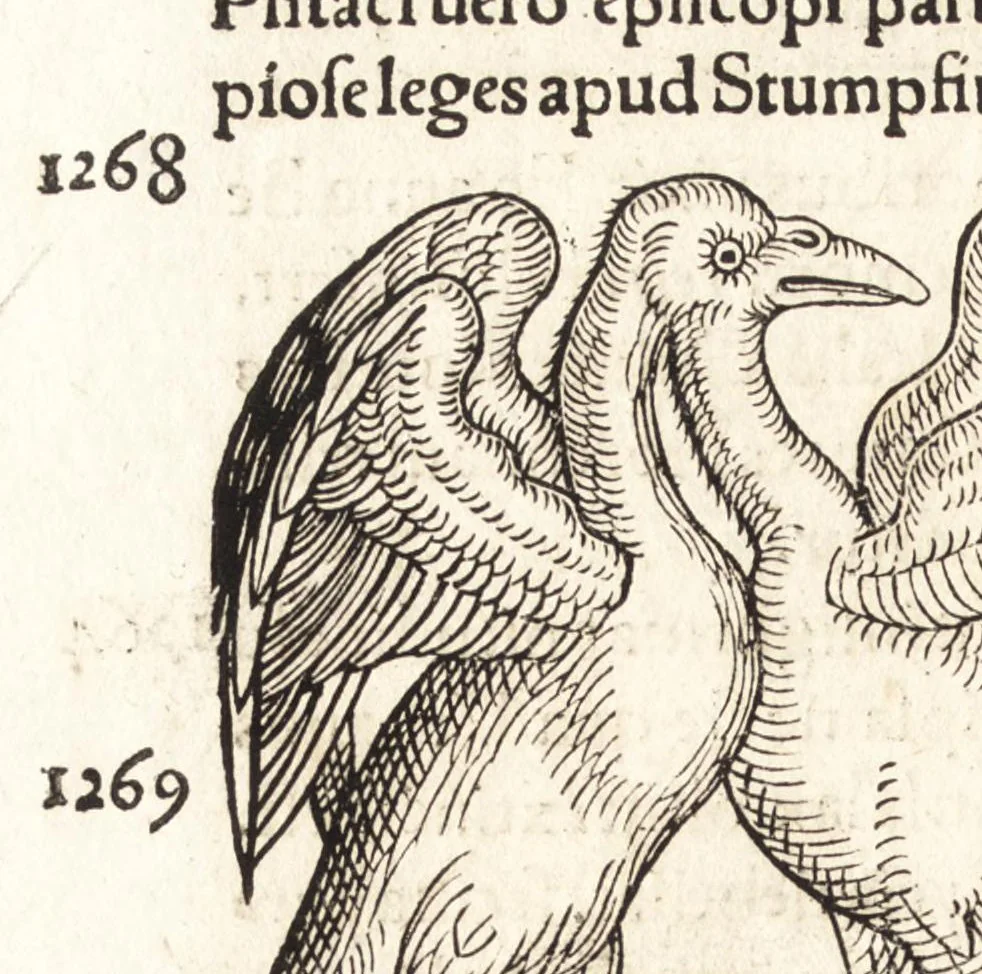 An illustration from Prodigiorvm ac ostentorvm chronicon : quae praeter naturae ordinem, motum, et operationem, et in svperioribus & his inferioribus mundi regionibus, ab exordio mundi usque ad haec nostra tempora, acciderunt ..., 1557, leaf 451