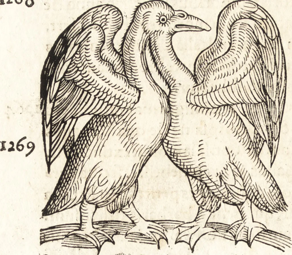 An illustration from Prodigiorvm ac ostentorvm chronicon : quae praeter naturae ordinem, motum, et operationem, et in svperioribus & his inferioribus mundi regionibus, ab exordio mundi usque ad haec nostra tempora, acciderunt ..., 1557, leaf 451