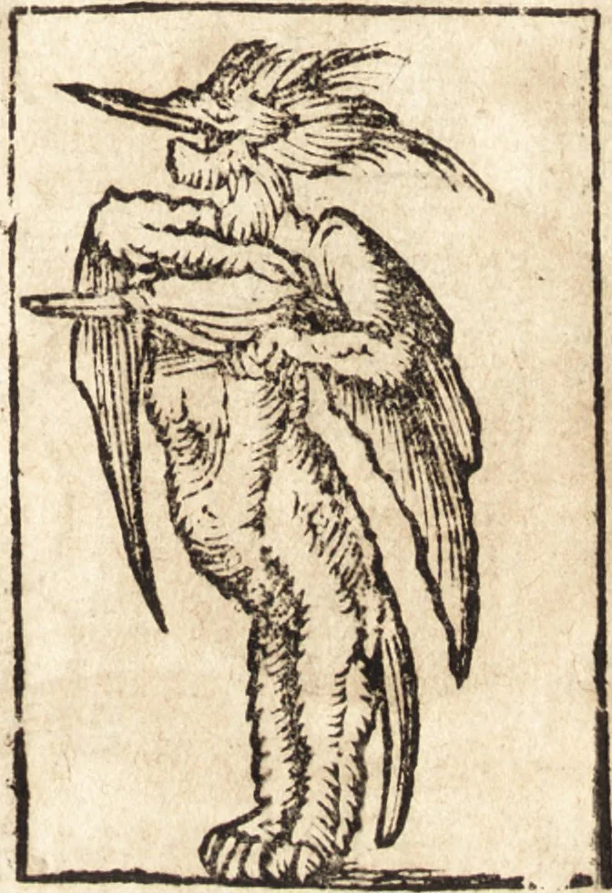 An illustration from Prodigiorvm ac ostentorvm chronicon : quae praeter naturae ordinem, motum, et operationem, et in svperioribus & his inferioribus mundi regionibus, ab exordio mundi usque ad haec nostra tempora, acciderunt ..., 1557, leaf 454