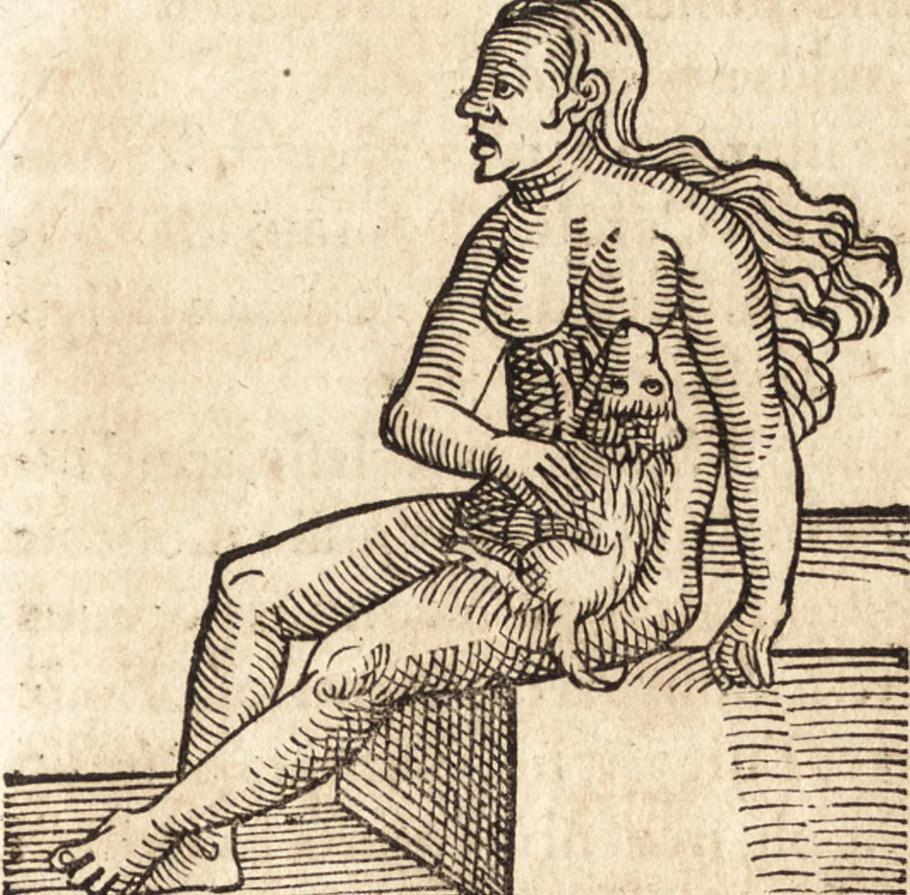 An illustration from Prodigiorvm ac ostentorvm chronicon : quae praeter naturae ordinem, motum, et operationem, et in svperioribus & his inferioribus mundi regionibus, ab exordio mundi usque ad haec nostra tempora, acciderunt ..., 1557, leaf 454