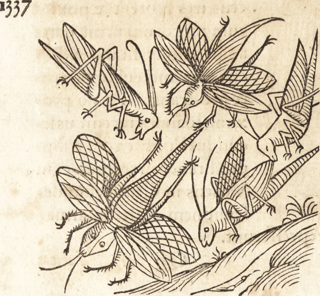 An illustration from Prodigiorvm ac ostentorvm chronicon : quae praeter naturae ordinem, motum, et operationem, et in svperioribus & his inferioribus mundi regionibus, ab exordio mundi usque ad haec nostra tempora, acciderunt ..., 1557, leaf 467
