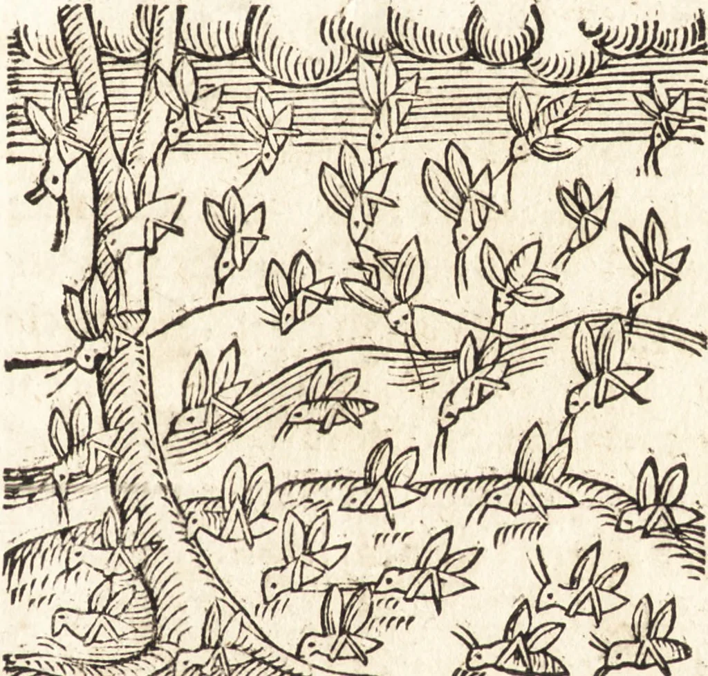 An illustration from Prodigiorvm ac ostentorvm chronicon : quae praeter naturae ordinem, motum, et operationem, et in svperioribus & his inferioribus mundi regionibus, ab exordio mundi usque ad haec nostra tempora, acciderunt ..., 1557, leaf 474
