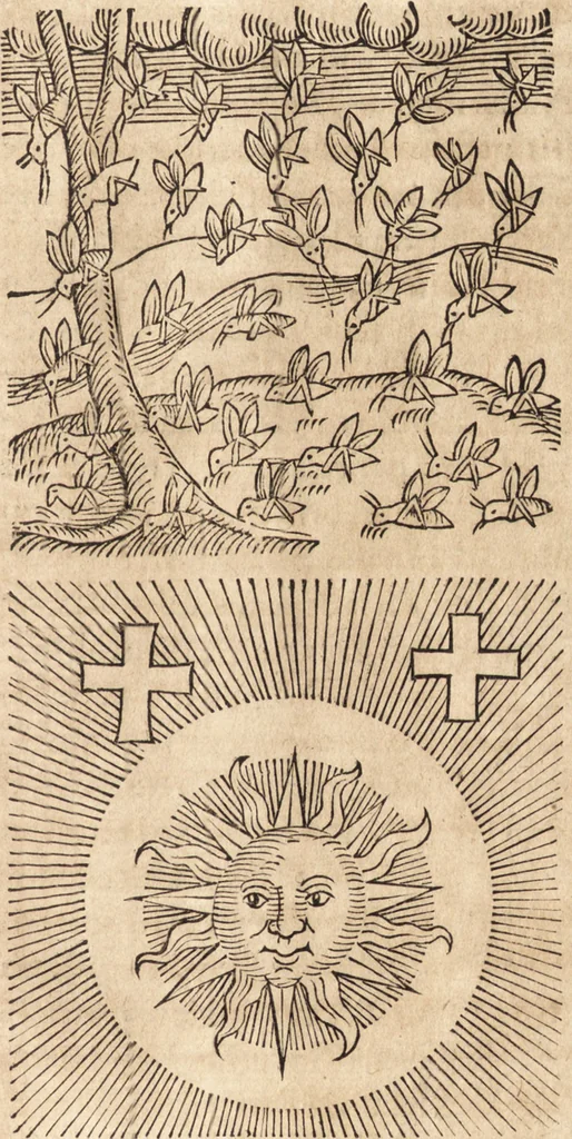 An illustration from Prodigiorvm ac ostentorvm chronicon : quae praeter naturae ordinem, motum, et operationem, et in svperioribus & his inferioribus mundi regionibus, ab exordio mundi usque ad haec nostra tempora, acciderunt ..., 1557, leaf 476