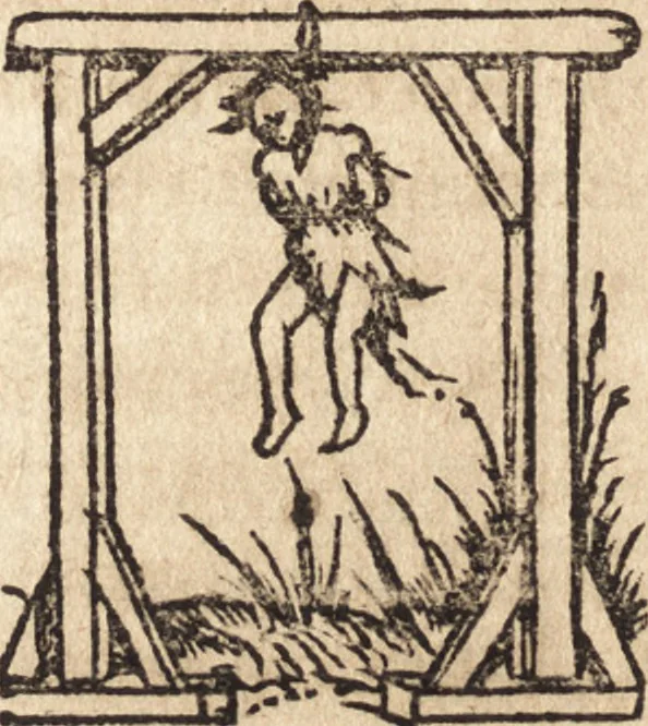 An illustration from Prodigiorvm ac ostentorvm chronicon : quae praeter naturae ordinem, motum, et operationem, et in svperioribus & his inferioribus mundi regionibus, ab exordio mundi usque ad haec nostra tempora, acciderunt ..., 1557, leaf 477