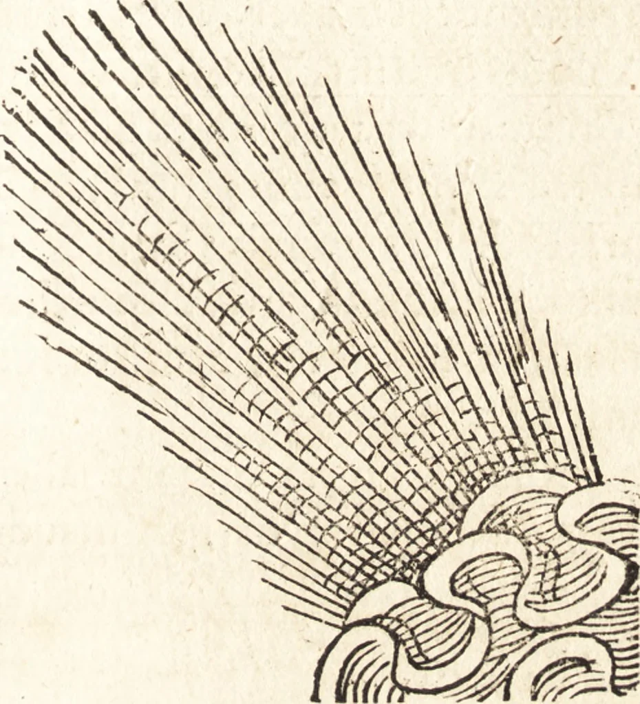 An illustration from Prodigiorvm ac ostentorvm chronicon : quae praeter naturae ordinem, motum, et operationem, et in svperioribus & his inferioribus mundi regionibus, ab exordio mundi usque ad haec nostra tempora, acciderunt ..., 1557, leaf 480