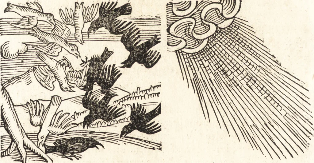 An illustration from Prodigiorvm ac ostentorvm chronicon : quae praeter naturae ordinem, motum, et operationem, et in svperioribus & his inferioribus mundi regionibus, ab exordio mundi usque ad haec nostra tempora, acciderunt ..., 1557, leaf 481
