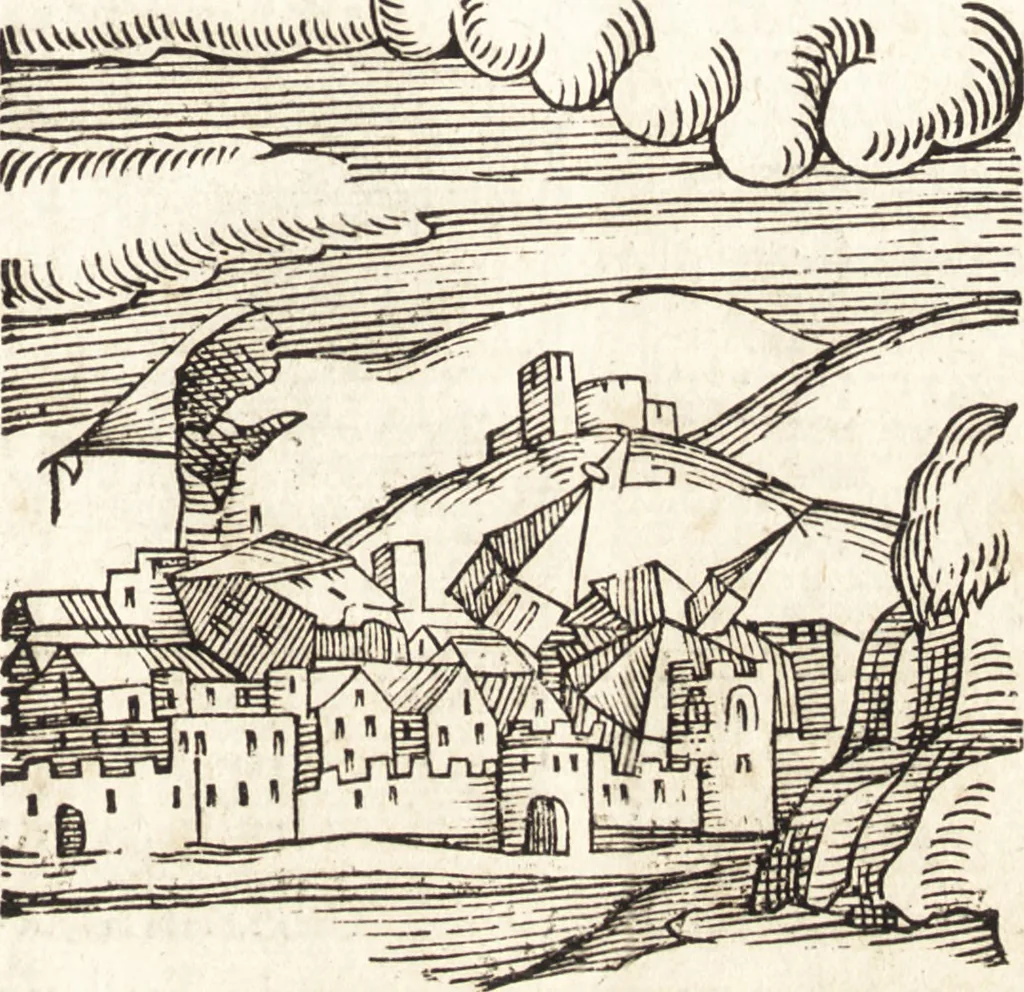 An illustration from Prodigiorvm ac ostentorvm chronicon : quae praeter naturae ordinem, motum, et operationem, et in svperioribus & his inferioribus mundi regionibus, ab exordio mundi usque ad haec nostra tempora, acciderunt ..., 1557, leaf 492