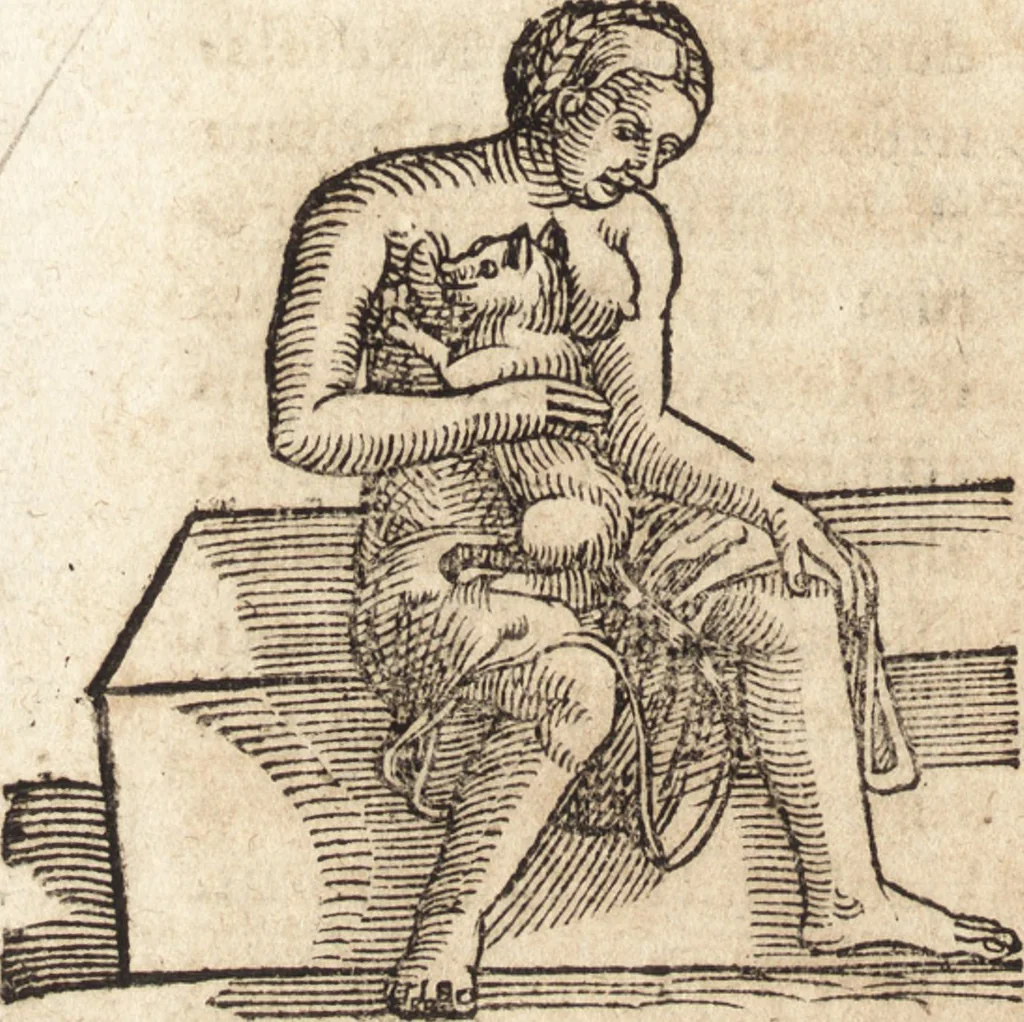 An illustration from Prodigiorvm ac ostentorvm chronicon : quae praeter naturae ordinem, motum, et operationem, et in svperioribus & his inferioribus mundi regionibus, ab exordio mundi usque ad haec nostra tempora, acciderunt ..., 1557, leaf 499