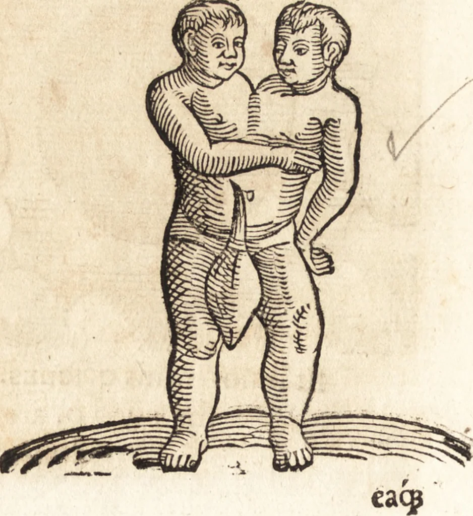 An illustration from Prodigiorvm ac ostentorvm chronicon : quae praeter naturae ordinem, motum, et operationem, et in svperioribus & his inferioribus mundi regionibus, ab exordio mundi usque ad haec nostra tempora, acciderunt ..., 1557, leaf 507