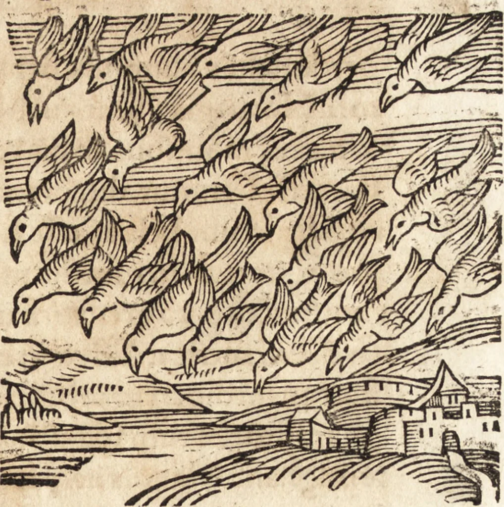 An illustration from Prodigiorvm ac ostentorvm chronicon : quae praeter naturae ordinem, motum, et operationem, et in svperioribus & his inferioribus mundi regionibus, ab exordio mundi usque ad haec nostra tempora, acciderunt ..., 1557, leaf 508