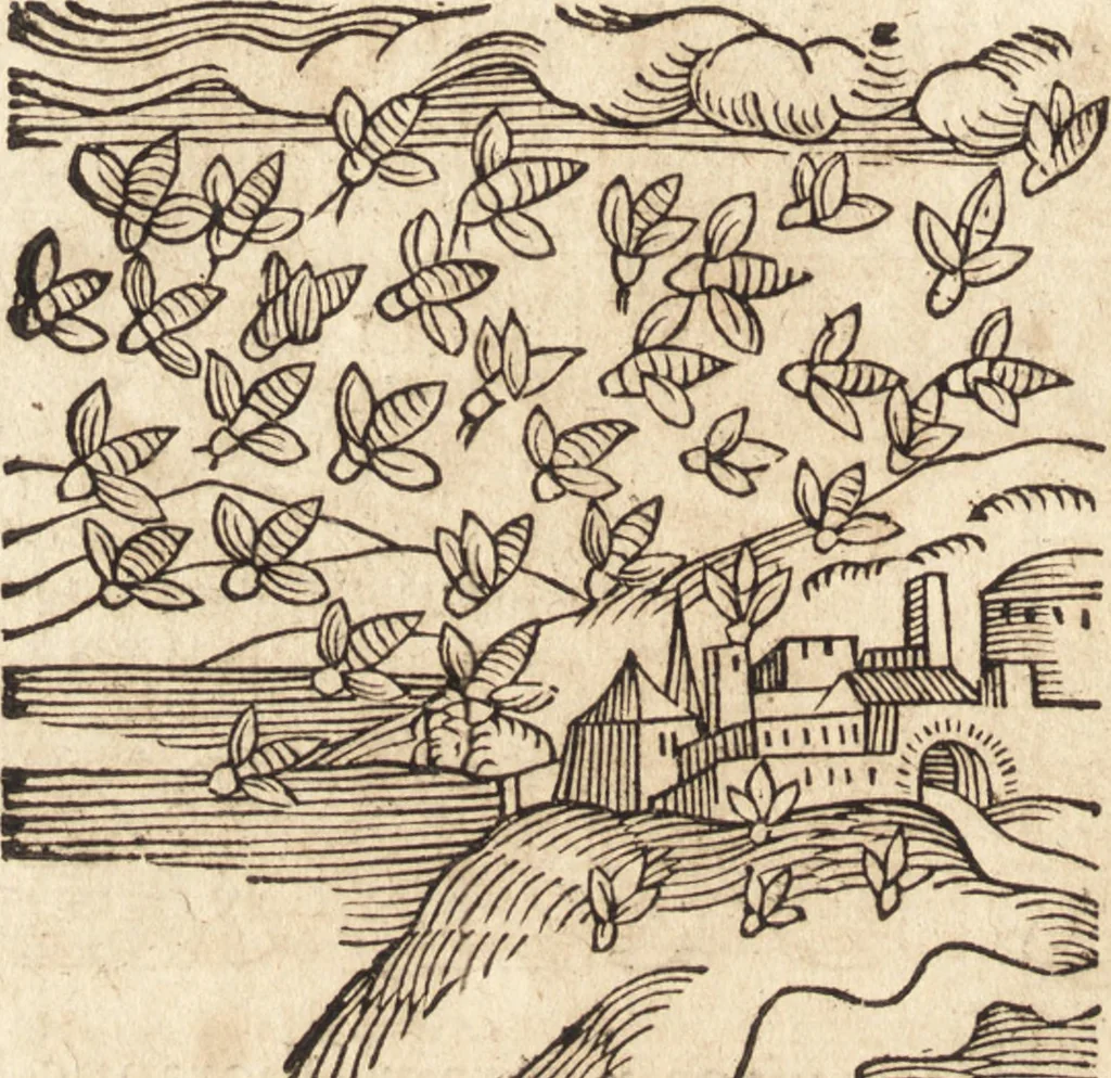An illustration from Prodigiorvm ac ostentorvm chronicon : quae praeter naturae ordinem, motum, et operationem, et in svperioribus & his inferioribus mundi regionibus, ab exordio mundi usque ad haec nostra tempora, acciderunt ..., 1557, leaf 51