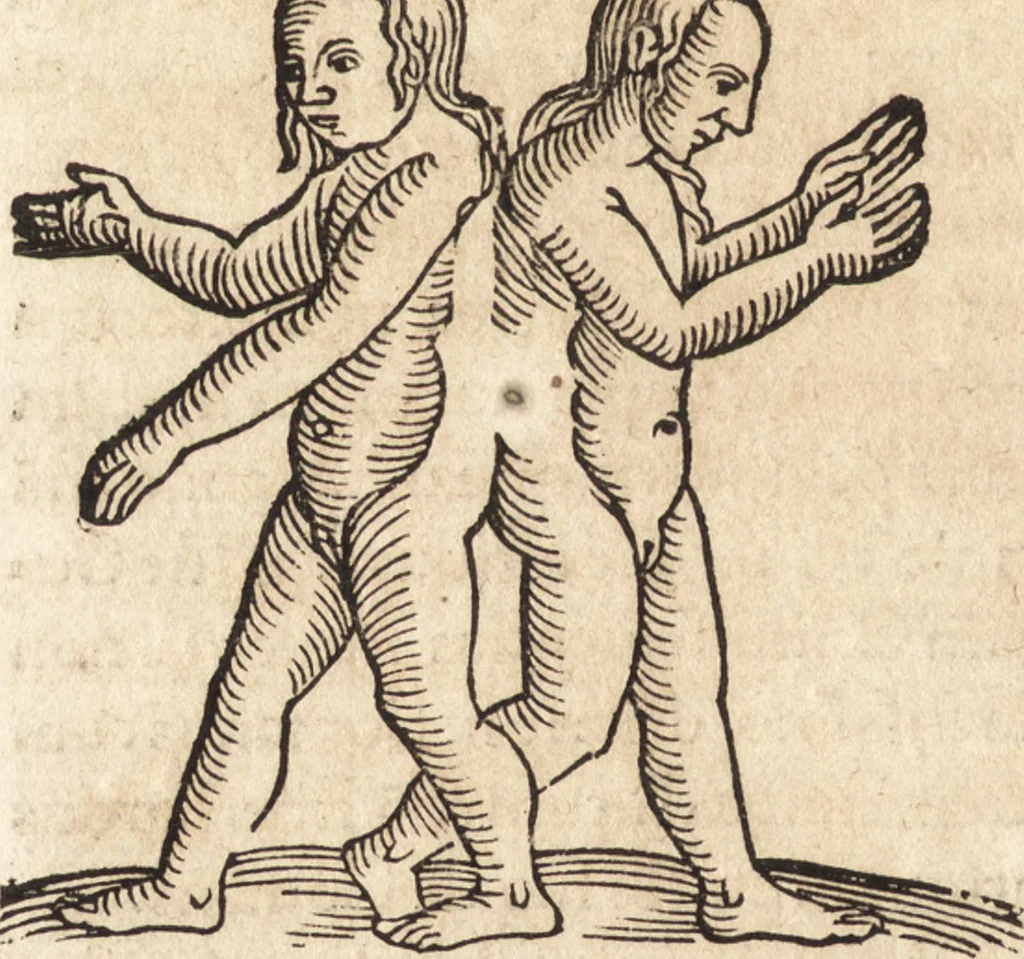 An illustration from Prodigiorvm ac ostentorvm chronicon : quae praeter naturae ordinem, motum, et operationem, et in svperioribus & his inferioribus mundi regionibus, ab exordio mundi usque ad haec nostra tempora, acciderunt ..., 1557, leaf 513