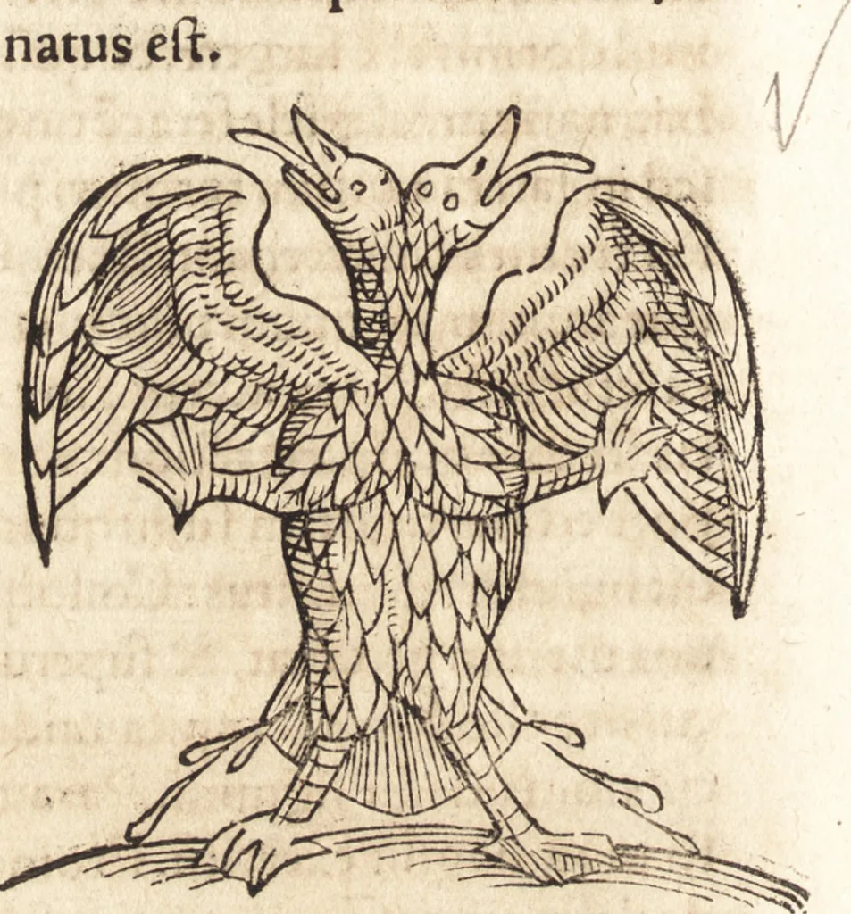 An illustration from Prodigiorvm ac ostentorvm chronicon : quae praeter naturae ordinem, motum, et operationem, et in svperioribus & his inferioribus mundi regionibus, ab exordio mundi usque ad haec nostra tempora, acciderunt ..., 1557, leaf 517