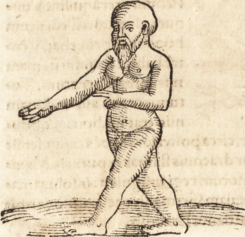An illustration from Prodigiorvm ac ostentorvm chronicon : quae praeter naturae ordinem, motum, et operationem, et in svperioribus & his inferioribus mundi regionibus, ab exordio mundi usque ad haec nostra tempora, acciderunt ..., 1557, leaf 517