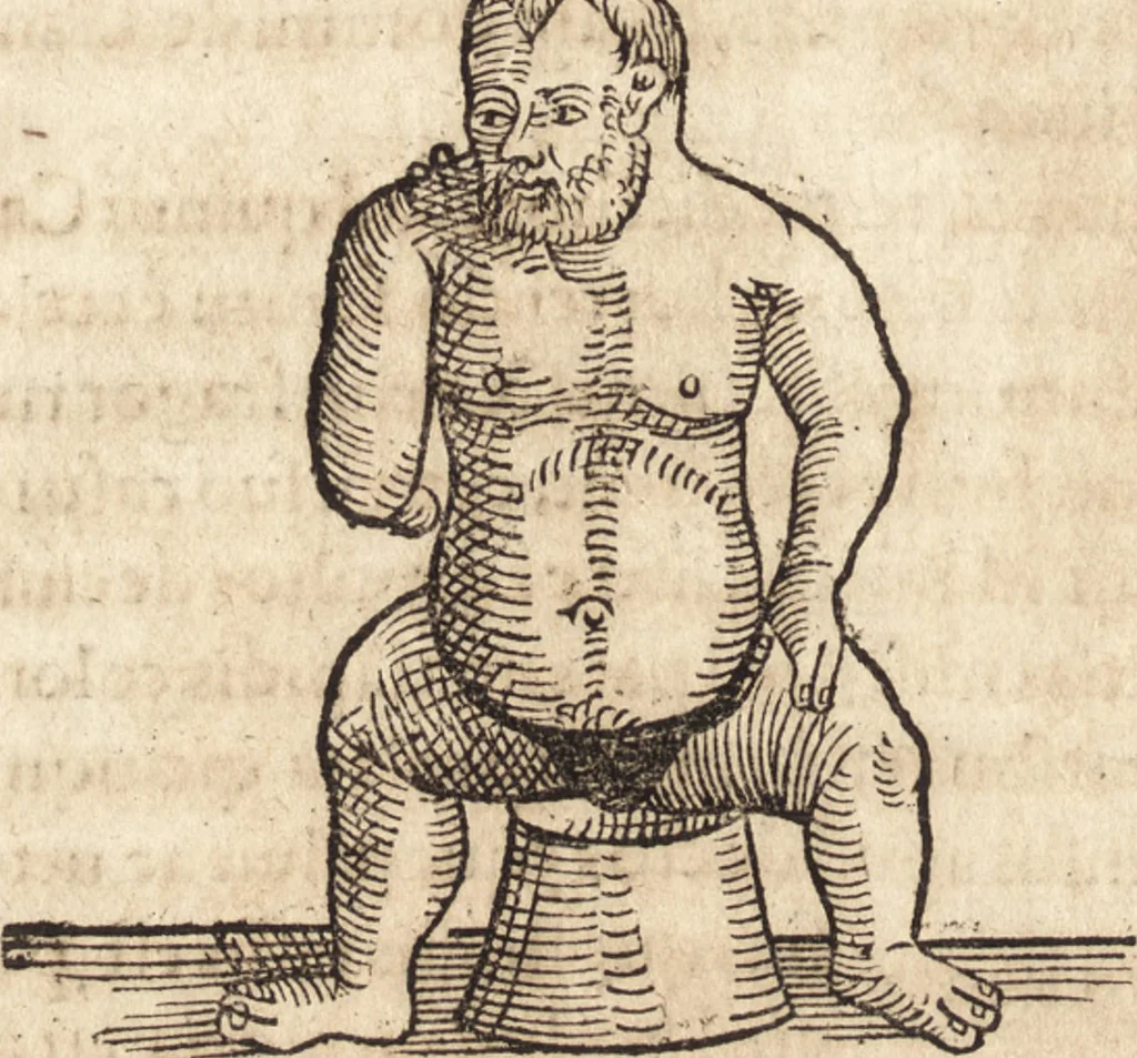 An illustration from Prodigiorvm ac ostentorvm chronicon : quae praeter naturae ordinem, motum, et operationem, et in svperioribus & his inferioribus mundi regionibus, ab exordio mundi usque ad haec nostra tempora, acciderunt ..., 1557, leaf 519