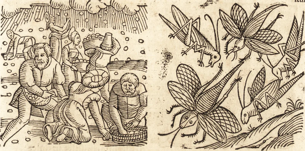 An illustration from Prodigiorvm ac ostentorvm chronicon : quae praeter naturae ordinem, motum, et operationem, et in svperioribus & his inferioribus mundi regionibus, ab exordio mundi usque ad haec nostra tempora, acciderunt ..., 1557, leaf 52