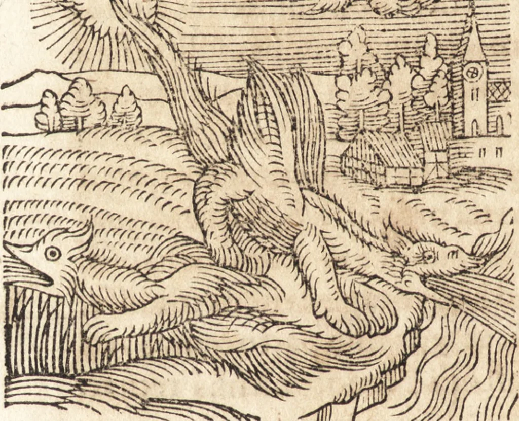 An illustration from Prodigiorvm ac ostentorvm chronicon : quae praeter naturae ordinem, motum, et operationem, et in svperioribus & his inferioribus mundi regionibus, ab exordio mundi usque ad haec nostra tempora, acciderunt ..., 1557, leaf 521