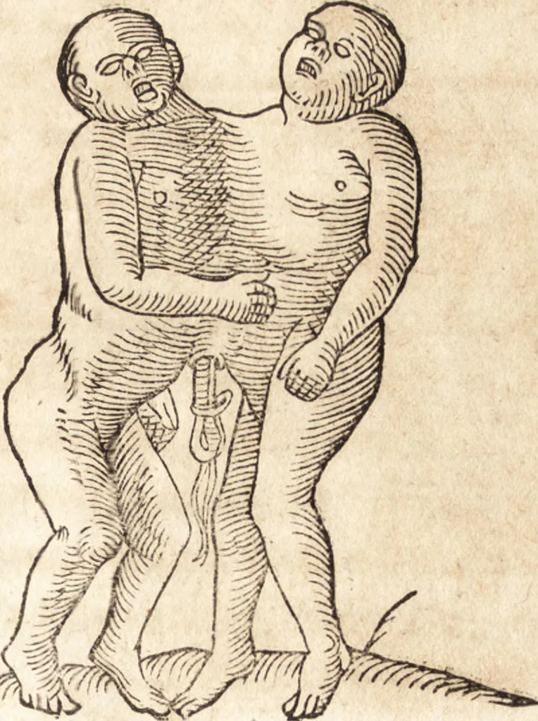 An illustration from Prodigiorvm ac ostentorvm chronicon : quae praeter naturae ordinem, motum, et operationem, et in svperioribus & his inferioribus mundi regionibus, ab exordio mundi usque ad haec nostra tempora, acciderunt ..., 1557, leaf 522