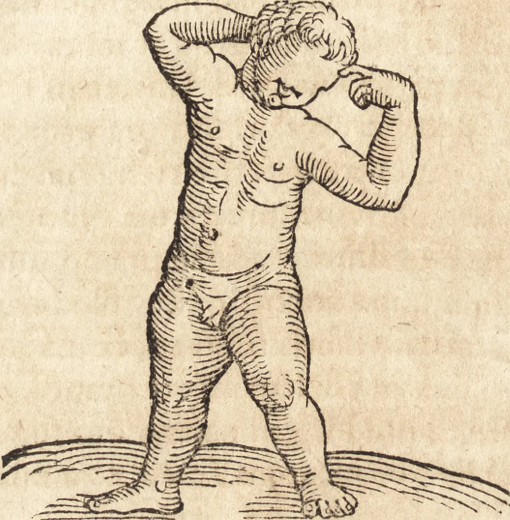 An illustration from Prodigiorvm ac ostentorvm chronicon : quae praeter naturae ordinem, motum, et operationem, et in svperioribus & his inferioribus mundi regionibus, ab exordio mundi usque ad haec nostra tempora, acciderunt ..., 1557, leaf 523