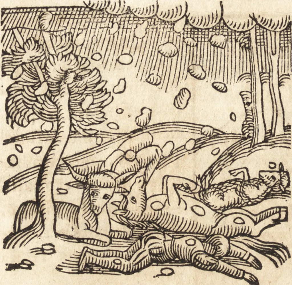 An illustration from Prodigiorvm ac ostentorvm chronicon : quae praeter naturae ordinem, motum, et operationem, et in svperioribus & his inferioribus mundi regionibus, ab exordio mundi usque ad haec nostra tempora, acciderunt ..., 1557, leaf 527