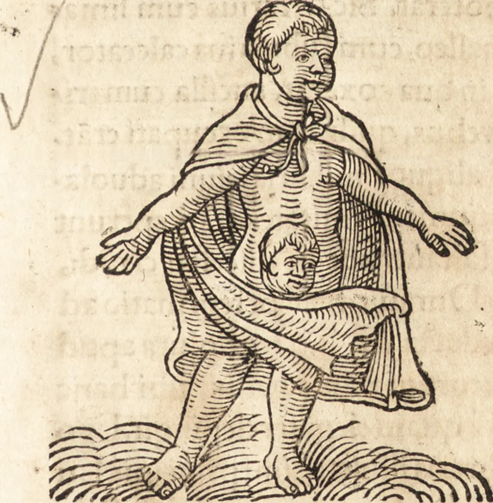 An illustration from Prodigiorvm ac ostentorvm chronicon : quae praeter naturae ordinem, motum, et operationem, et in svperioribus & his inferioribus mundi regionibus, ab exordio mundi usque ad haec nostra tempora, acciderunt ..., 1557, leaf 532