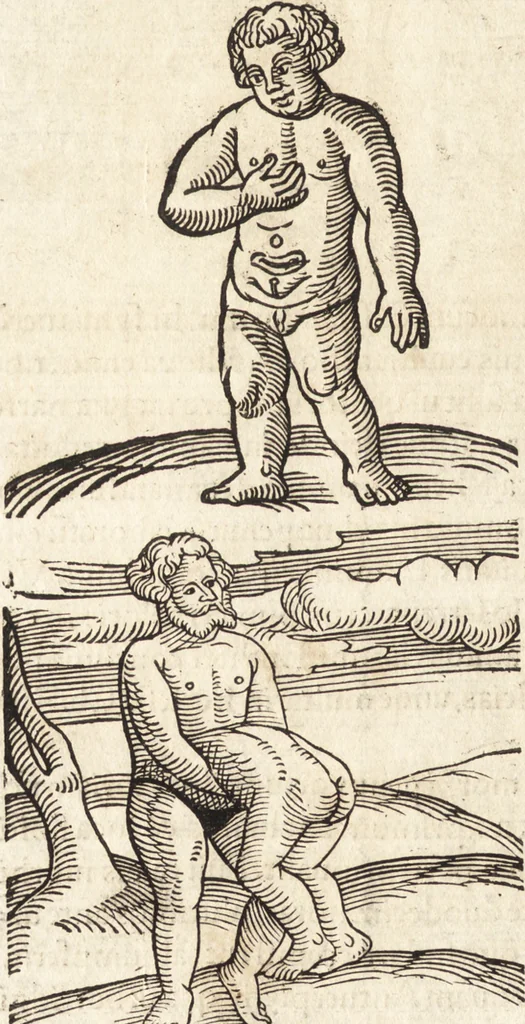 An illustration from Prodigiorvm ac ostentorvm chronicon : quae praeter naturae ordinem, motum, et operationem, et in svperioribus & his inferioribus mundi regionibus, ab exordio mundi usque ad haec nostra tempora, acciderunt ..., 1557, leaf 535