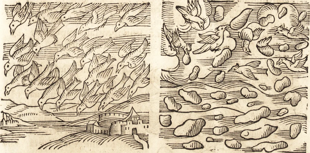 An illustration from Prodigiorvm ac ostentorvm chronicon : quae praeter naturae ordinem, motum, et operationem, et in svperioribus & his inferioribus mundi regionibus, ab exordio mundi usque ad haec nostra tempora, acciderunt ..., 1557, leaf 54