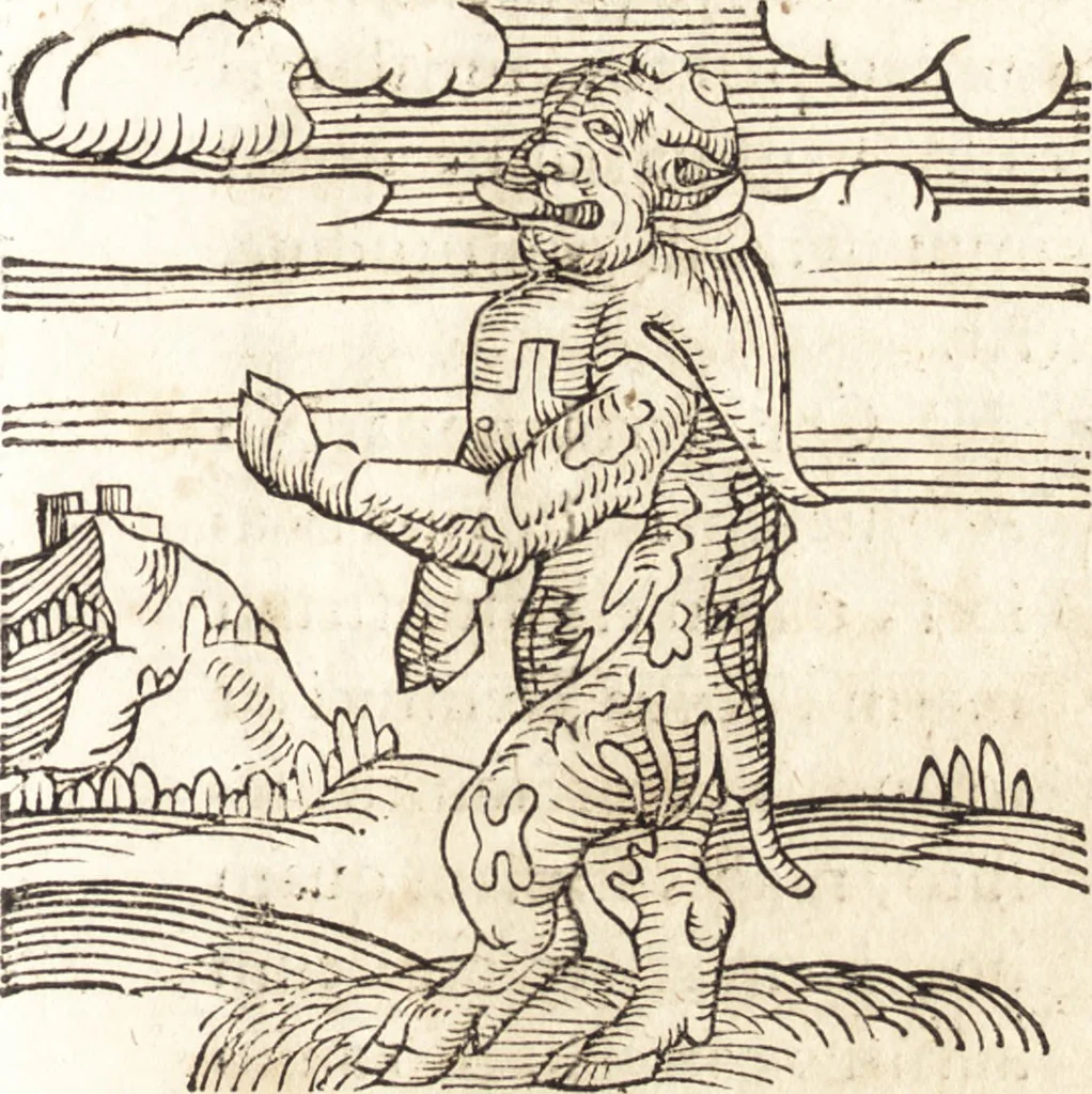 An illustration from Prodigiorvm ac ostentorvm chronicon : quae praeter naturae ordinem, motum, et operationem, et in svperioribus & his inferioribus mundi regionibus, ab exordio mundi usque ad haec nostra tempora, acciderunt ..., 1557, leaf 540